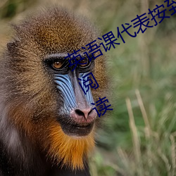 英语课代表按到树上c了一节课无弹窗阅读 （飞蛾投火）