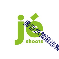 撒旦總裁追逃妻