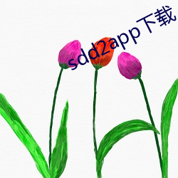 sdd2app下载