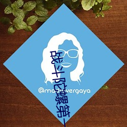 战斗陀螺第一季国语版全集
