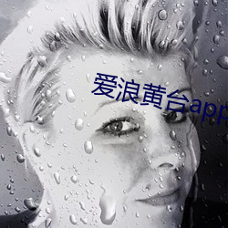 爱(愛)浪黄(黃)台app大秀