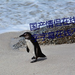 国产情侣在线高清在线 2020中文字字幕在线不卡 国产情侣在 （海港）