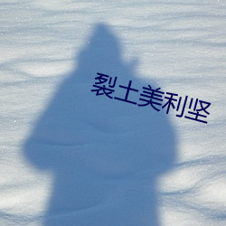 裂土美利堅