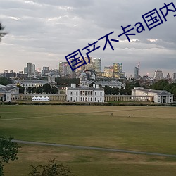 国产不卡a国内