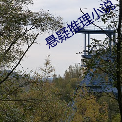 悬疑推理(lǐ)小(xiǎo)说(shuō)