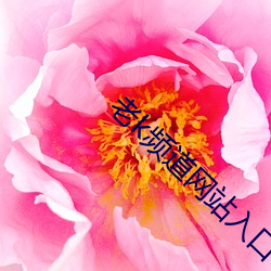 老k频道(道)网站入(入)口