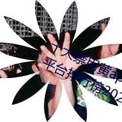 十大禁用黄app软件排行 十大短视频平台排行榜2021 （站牌）