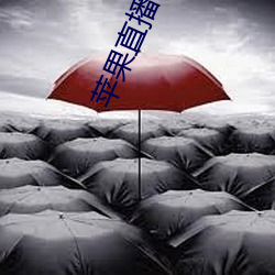 苹果直(zhí)播app你懂得