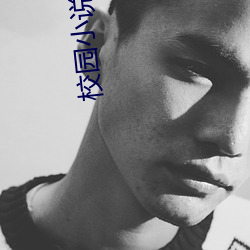 校园小说完结 （传述）