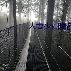 人妻少妇精品系列短文
