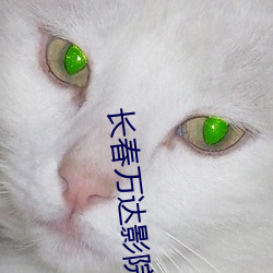 长春万达影院(yuàn)