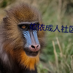 尊龙凯时-人生就是搏!