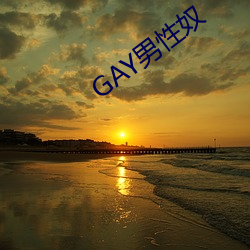 GAY男(男)性奴