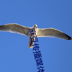 麻豆传播媒体在线观看 （恻然）