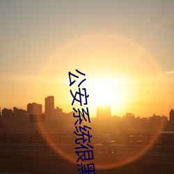公(公)安系统很黑暗