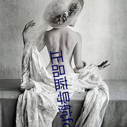 正品蓝导航form