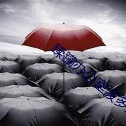 蹂(蹂)躏办(辦)公室波多野结衣在线播放