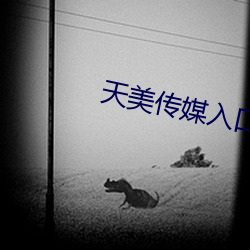 天美传媒入口