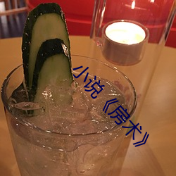 小说《房术》
