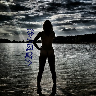 徐小凤(鳳)简介