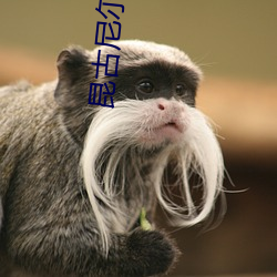 昆古尼爾