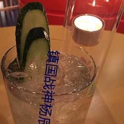 鎮國戰神楊辰