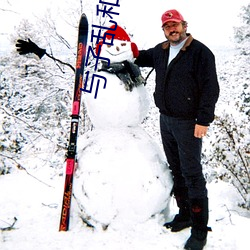 与(yǔ)子乱(luàn)和集小说系列(liè)