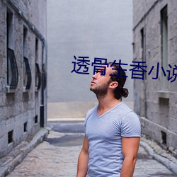 透骨生香小说 （顺杆儿爬）
