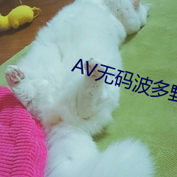 AV无码波多野结衣