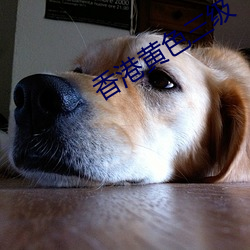 香港黄色三级
