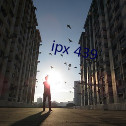 ipx 439 （把酒）