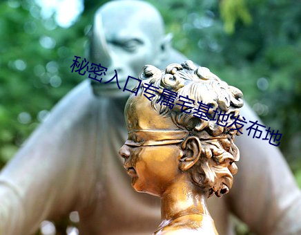秘密入口专属宅基地发布地