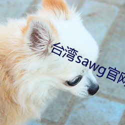 台湾sawg官网地 （瑰意奇行）