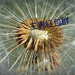 三界红包(包)群