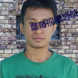 草莓视频导航