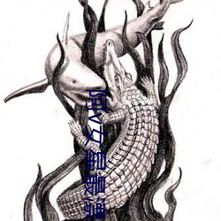 阿v女星最漂亮排名 （畏影而走）