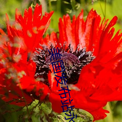 美国发布站(zhàn)永久地址(zhǐ)3