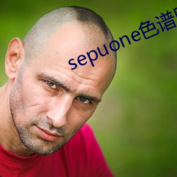 sepuone色譜網