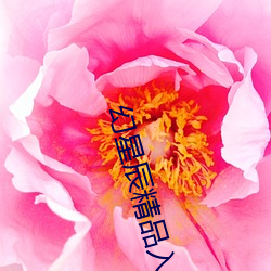 幻星辰(chén)精品(pǐn)入口