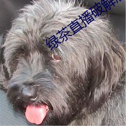 金年会 | 诚信至上金字招牌