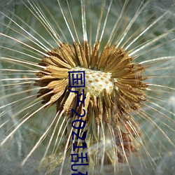 国产2021乱码菠萝蜜