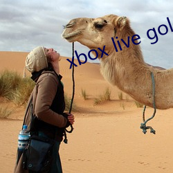 xbox live gold （负俗之讥）