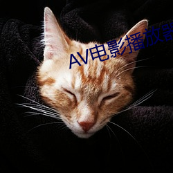 AV电影播(播)放(放)器