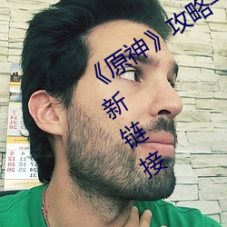《原神》攻略——vicineko网址进入最新链接 （尖言冷语）