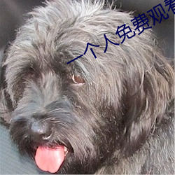 一个人免(miǎn)费(fèi)观看的www视频