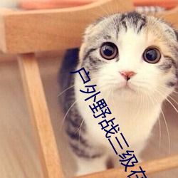戶外野戰三級在線觀看