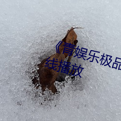 《青娱乐极品盛宴》中文版免费在线播放 俯察）