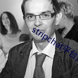 stripchat平(平)台资(資)源