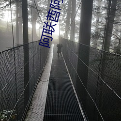 阿聯酋阿根廷直播