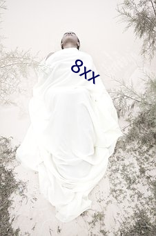 8xx